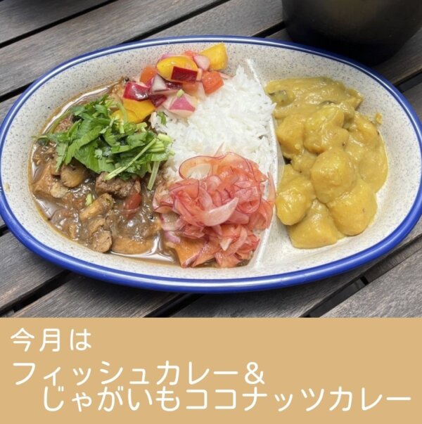 フィッシュカレー＆じゃがいものココナッツカレー🍛