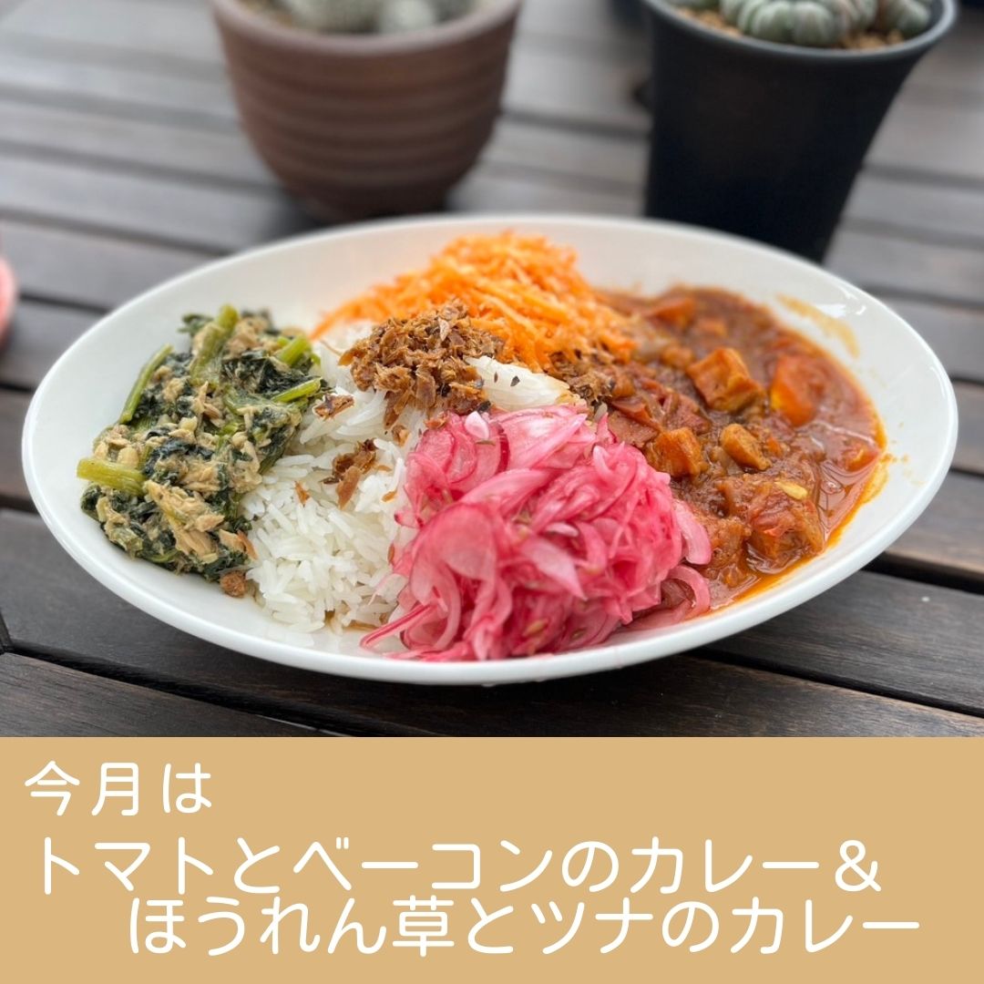 トマトとベーコンのカレー＆ほうれん草とツナのカレー🍛